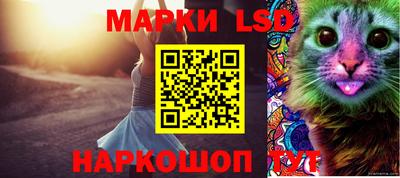 шишки Ливны