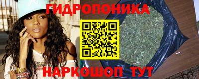шишки Ливны